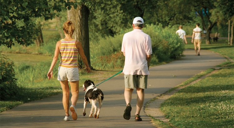 Man and Woman walking a large black and white dog with a green leash on a trail
