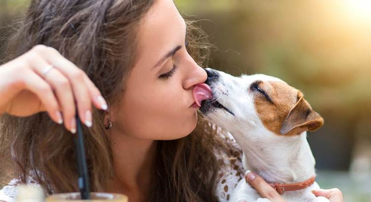 woman with dark hair receives a sweet kiss by a Jack Russell Terrier
