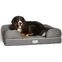 Bernese Mountain Dog laying in grey dog bed