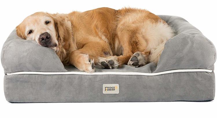 Old golden retriever laying on large grey dog bed