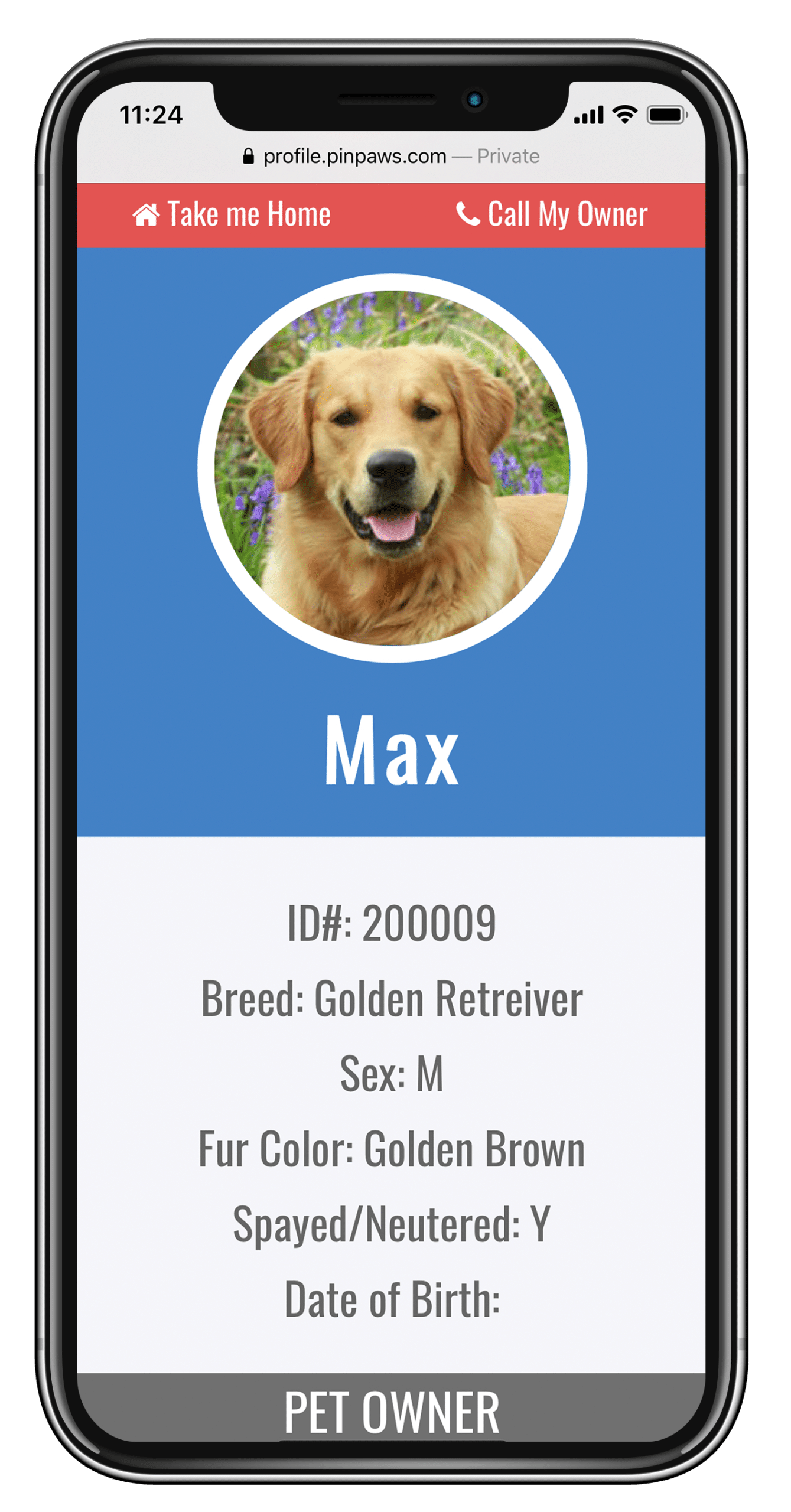 Found Pet profile pulled up on iPhone
