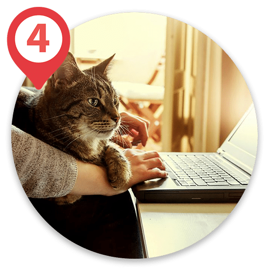 Cat sitting on owners hands and arms while owner types on laptop
