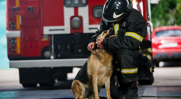 firefighter in uniform kneeling with a German Shepherd dog