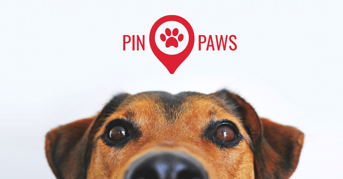 Pin on pets